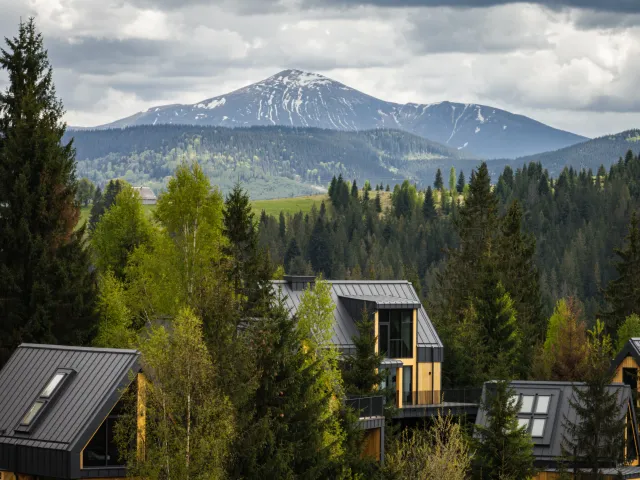 Skogur — аерофото комплексу
