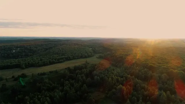 Аерофото — поля і ліс над локацією Віняв