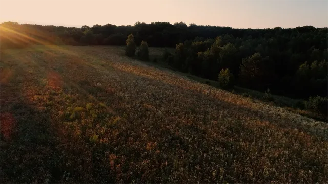Долина Віняв на світанку