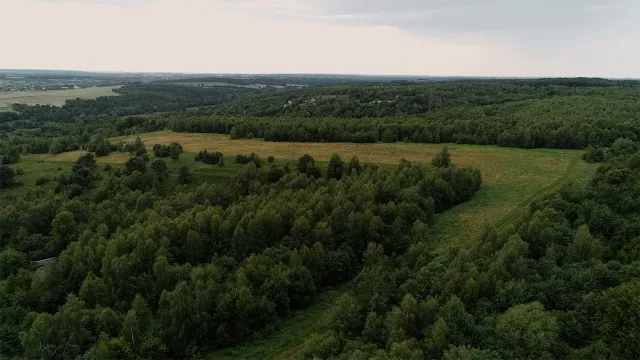 Аерофото локації Віняв — поля і ліс